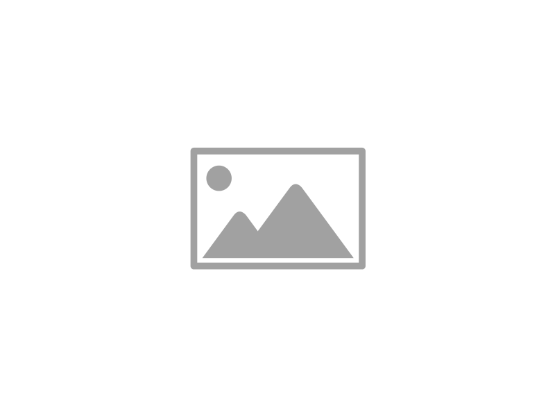 TikTok Shop Portfolio